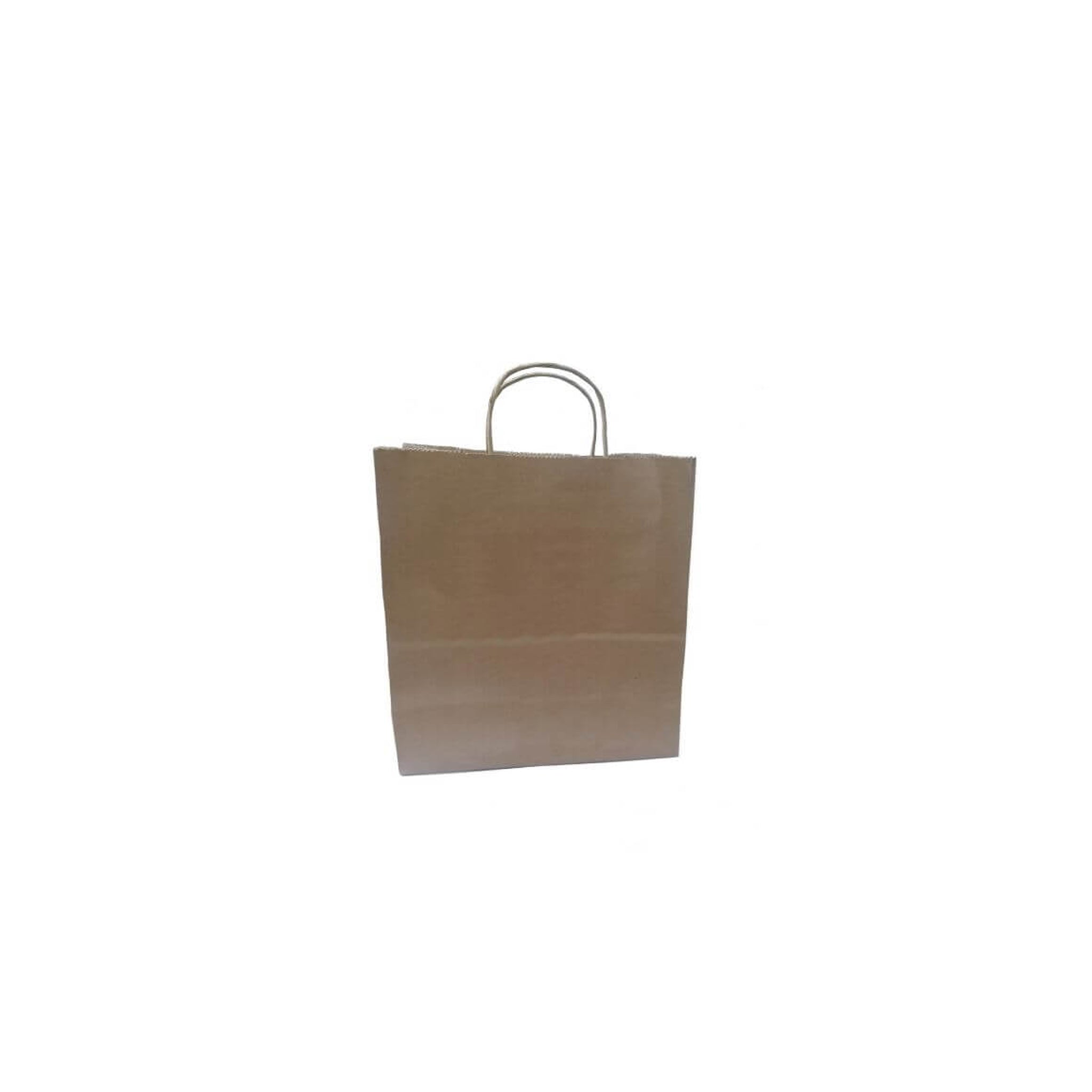 Tin Tie Brown Paper Bag MEDIUM