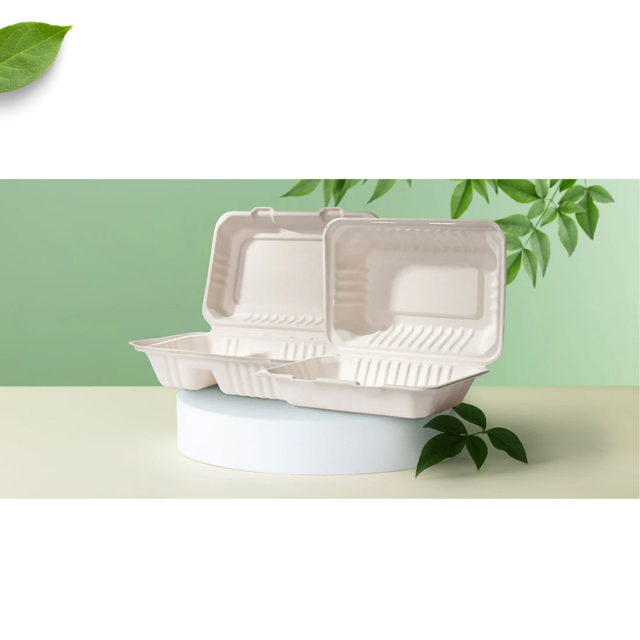 3 Div Clamshell 850ml 210x213x50mm BAGASSE