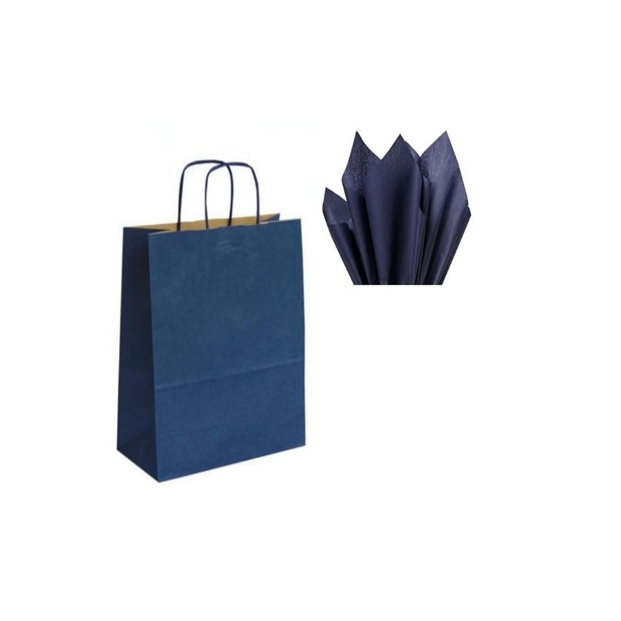 Gift Bags A4 Blue