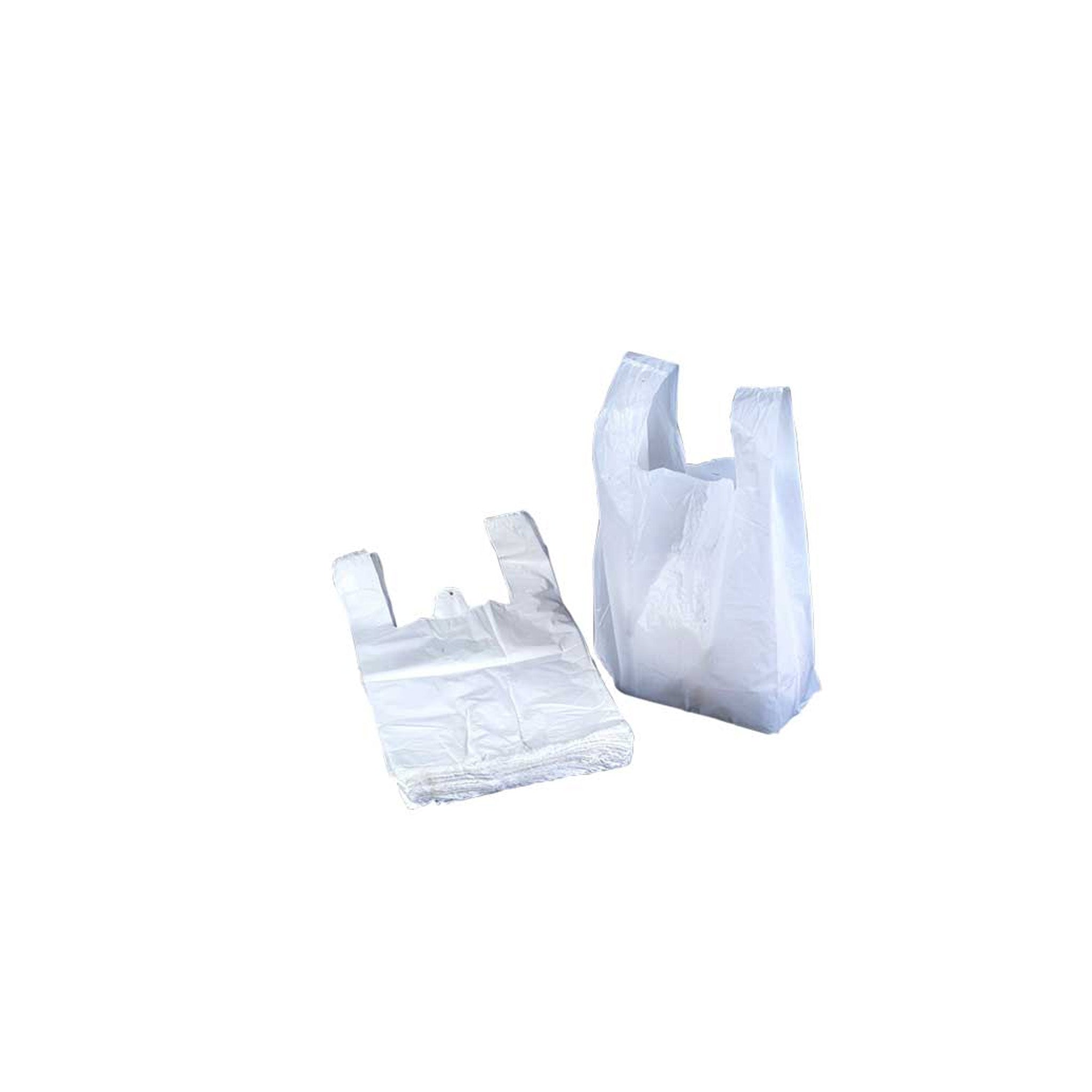 MIDI WHITE 30 MIC