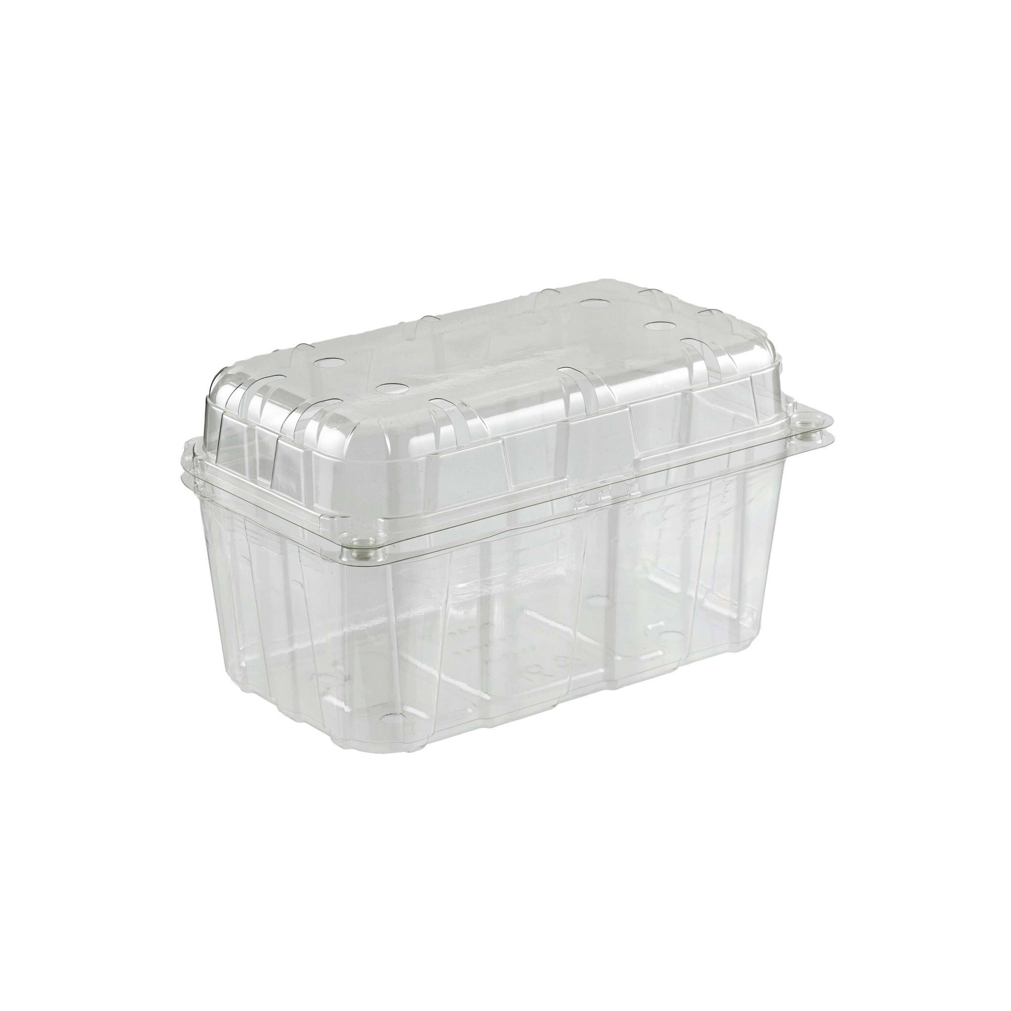 CS78-36-R Clamshell Clear232.5x187x87[F&V]