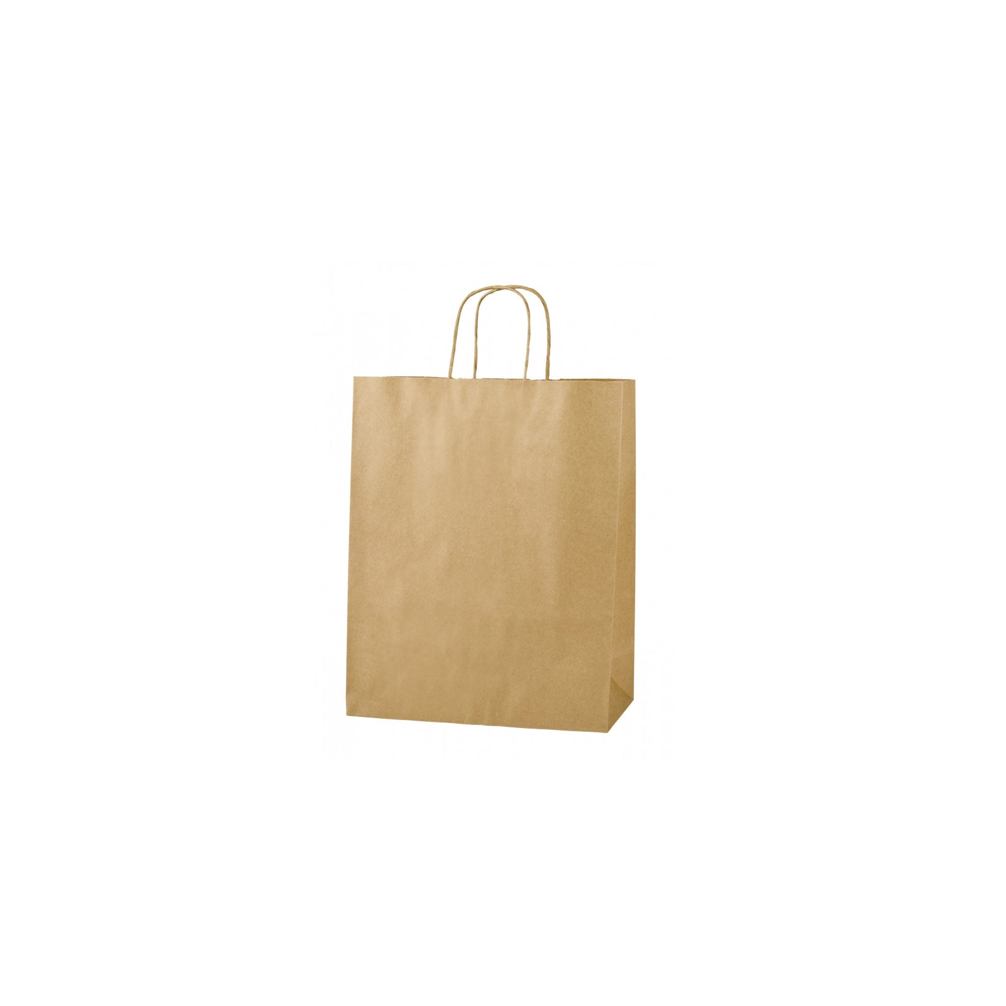 Paper Bag Kraft (300x420x150) [ECO023007]50x5pack