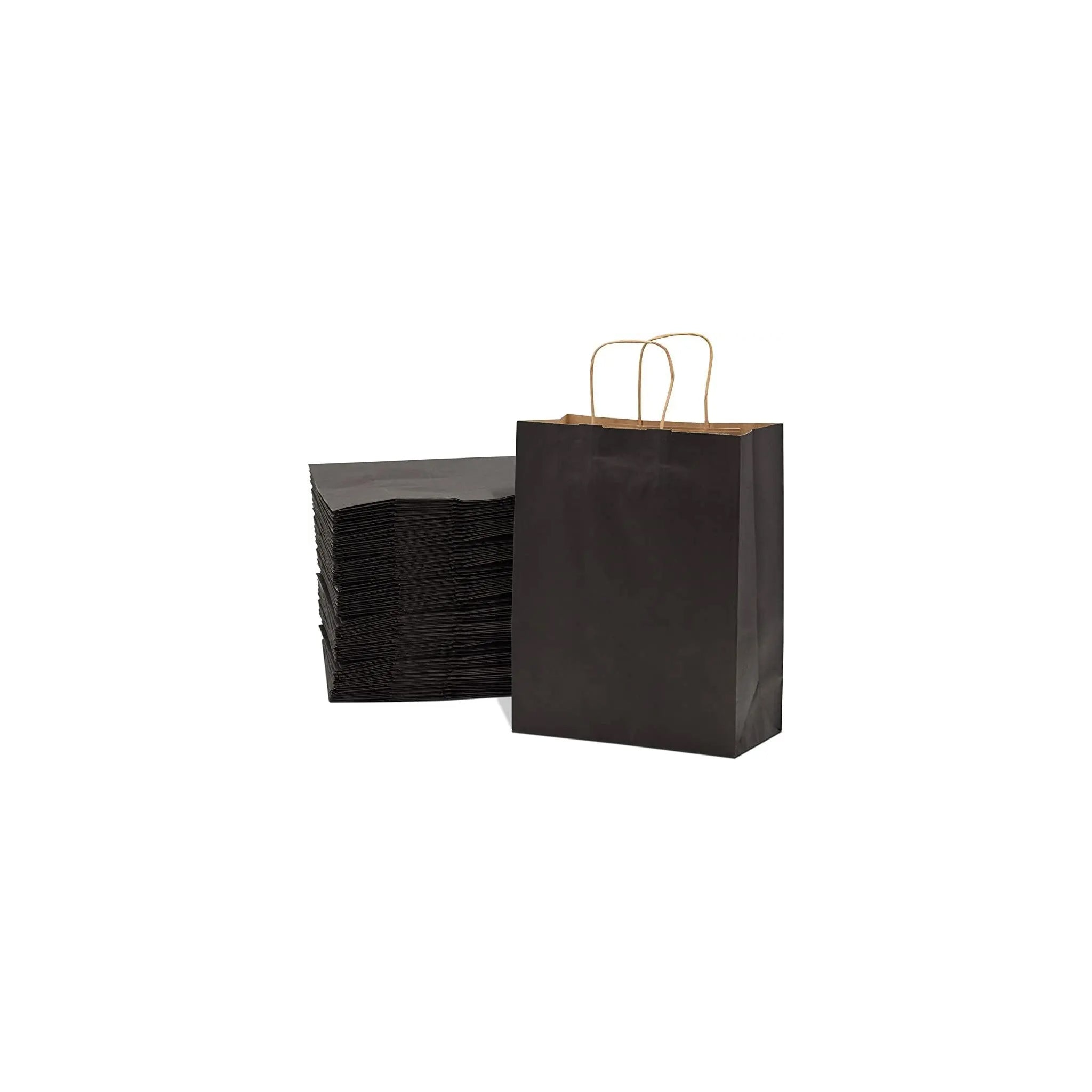 Paper Bag Black (260x220x100) [ECO023005]50x5pack