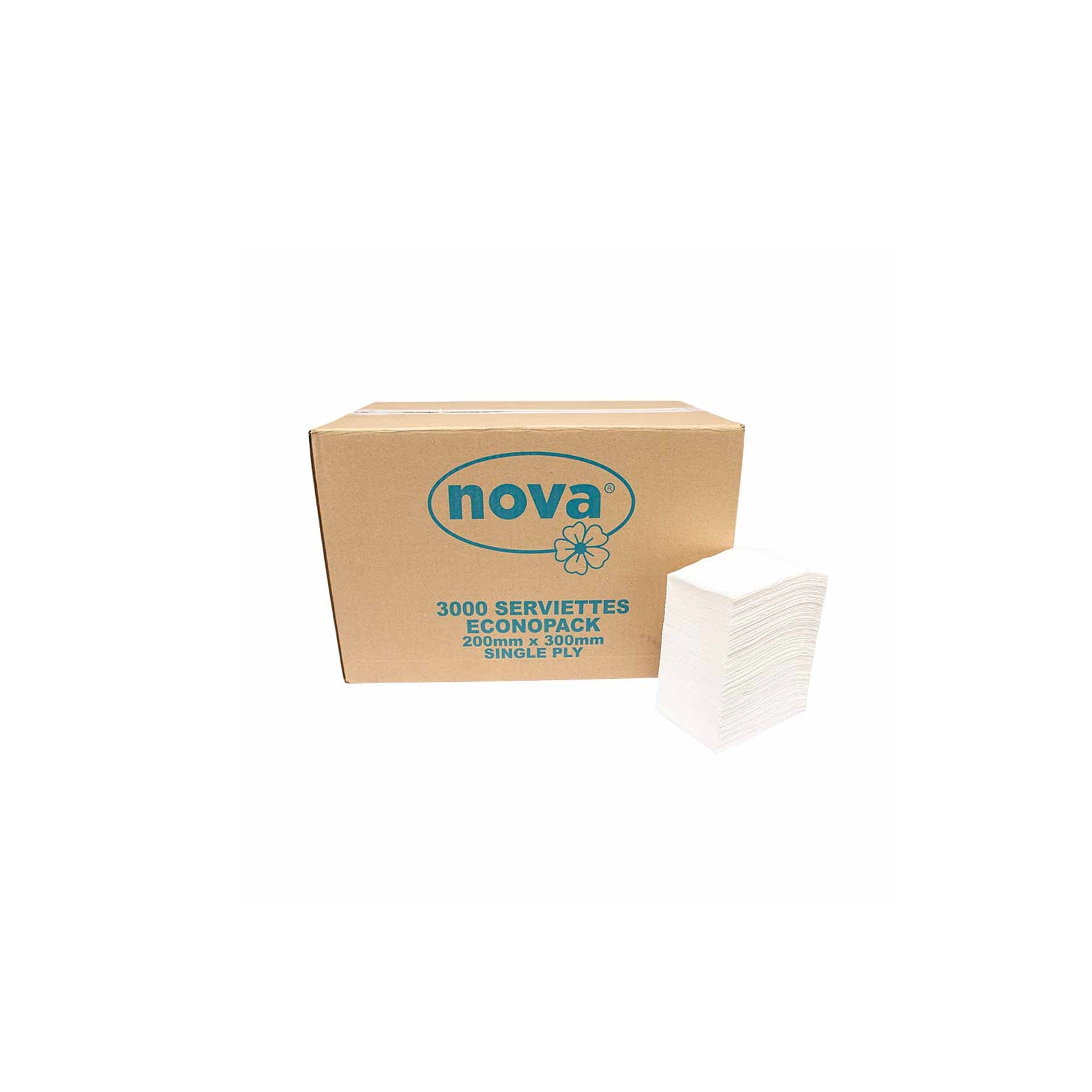 SERVIETTES (N1) (200x300mm-3000/BOX)