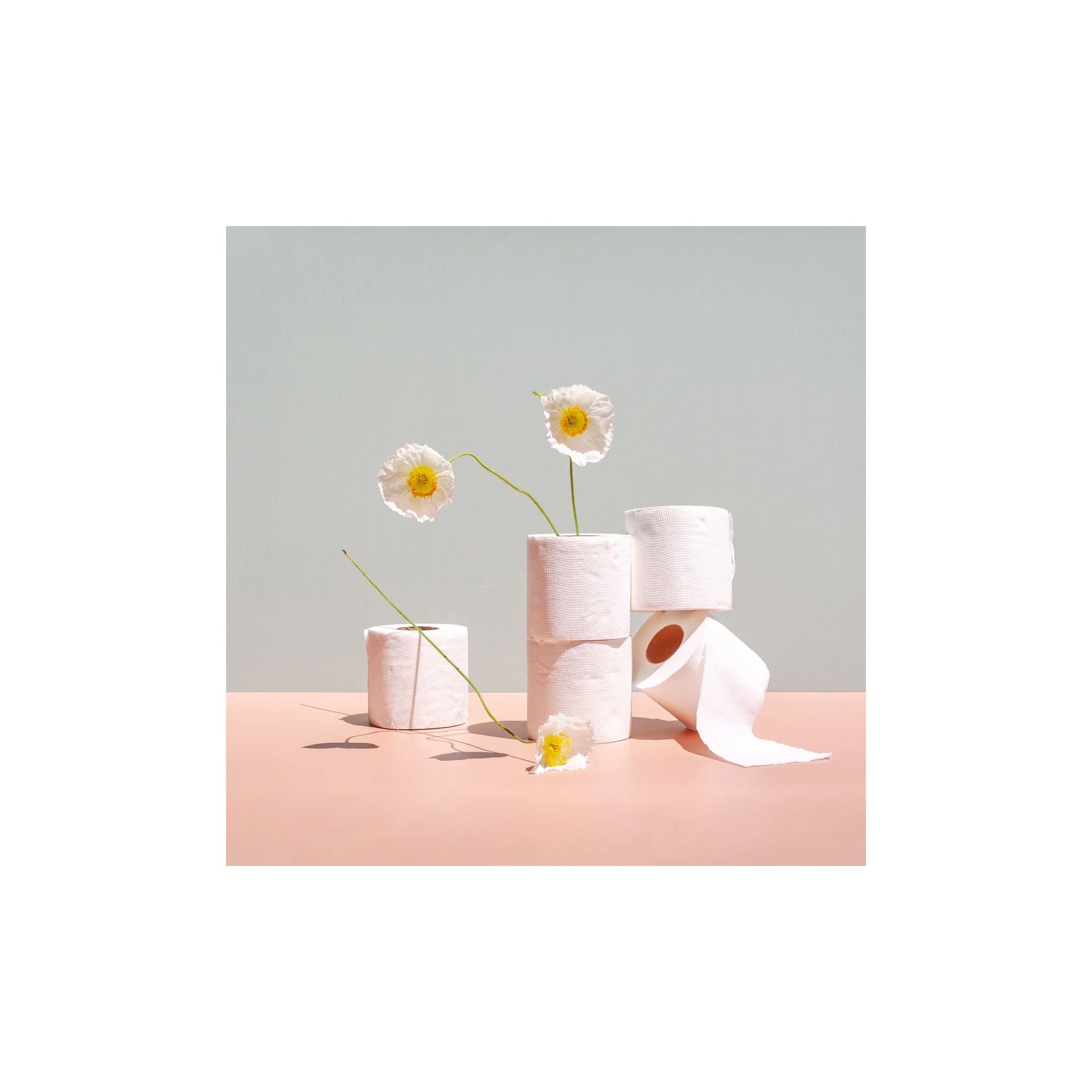 TOILET PAPER 48sIndividualy wrpd/unwrpd [TP]
