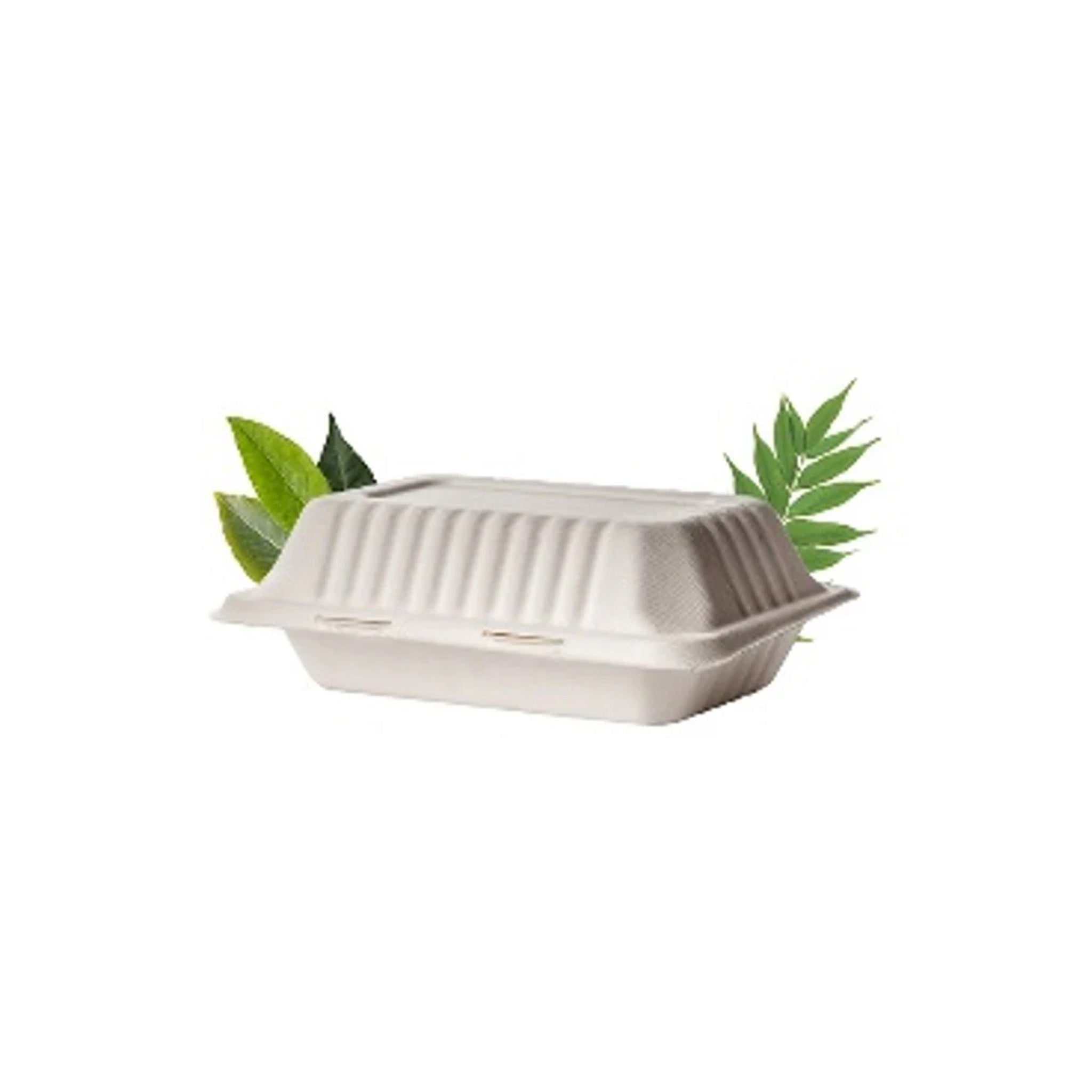 Meal Box BAGASSE single 1000ml[238x155x46/79]