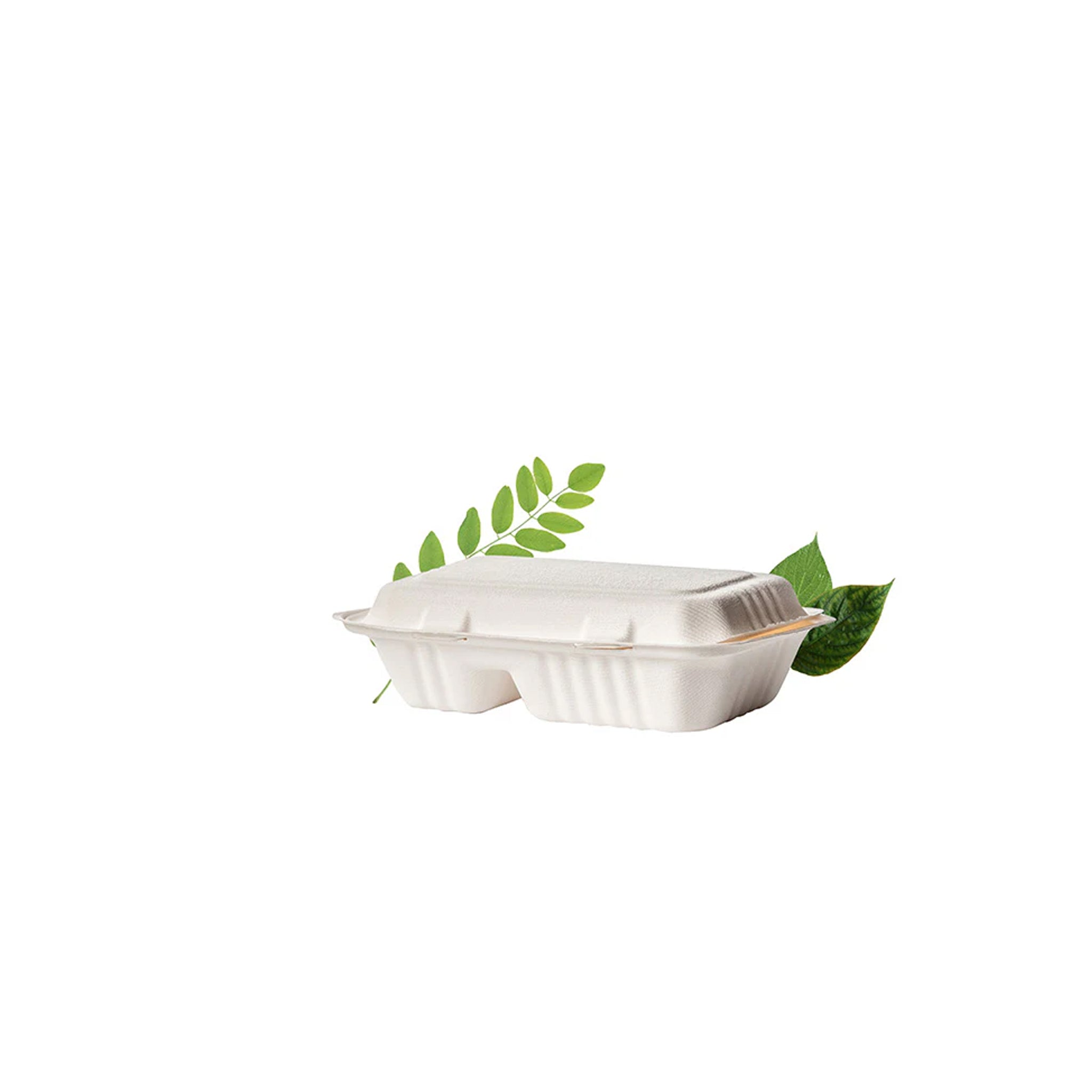 Meal Box BAGASSE 2 Div.[251x166x470mm]1000ml