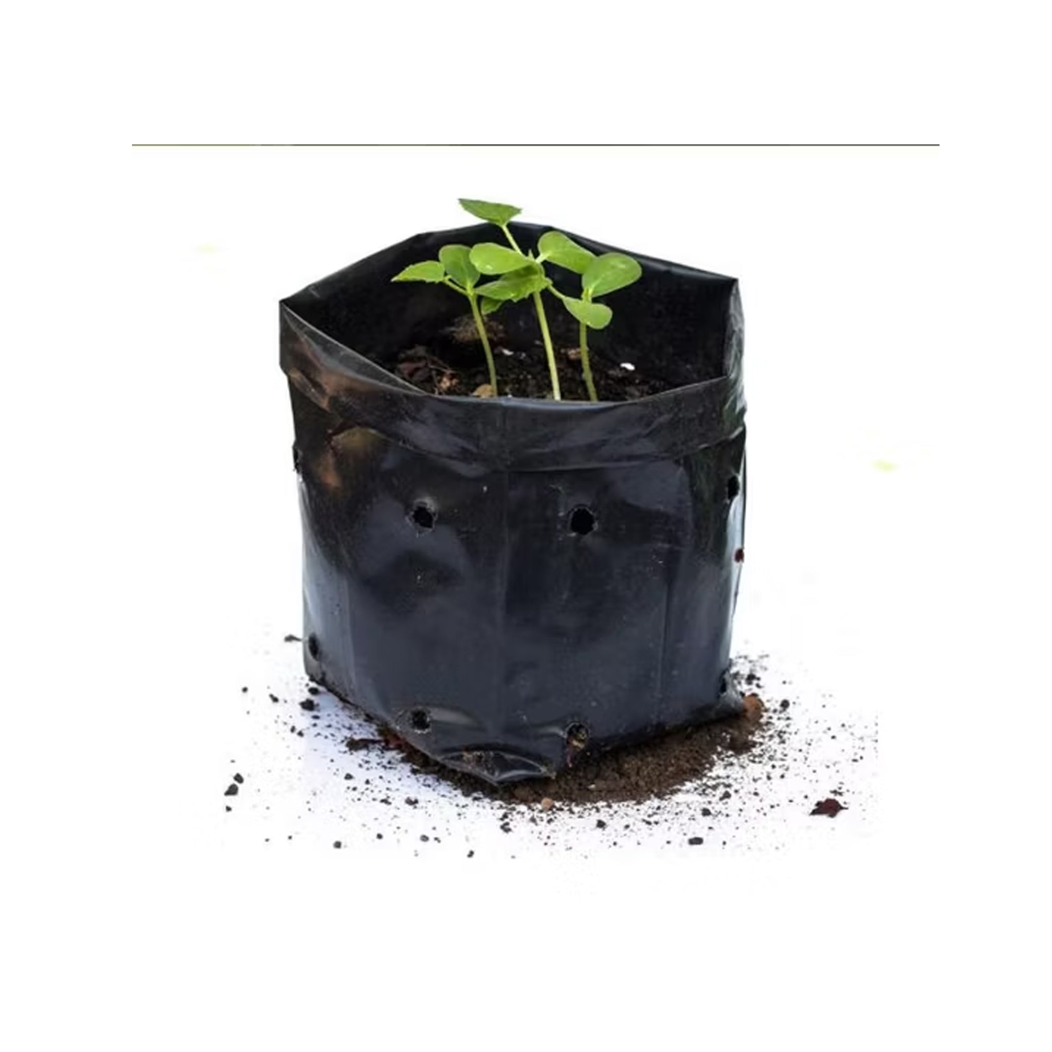 Planting bag N3 [1.59 Litres]