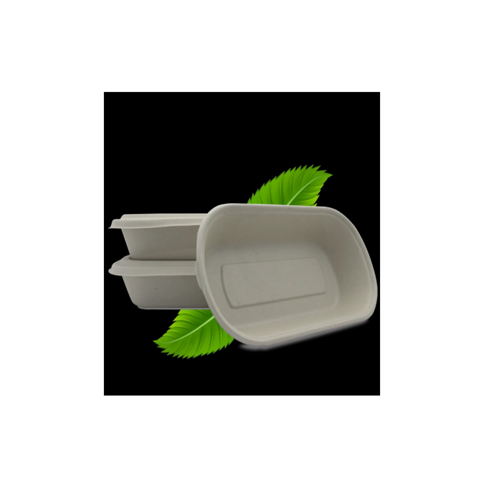 Bagasse Food Tray 1 [202x141mm] 00301000046