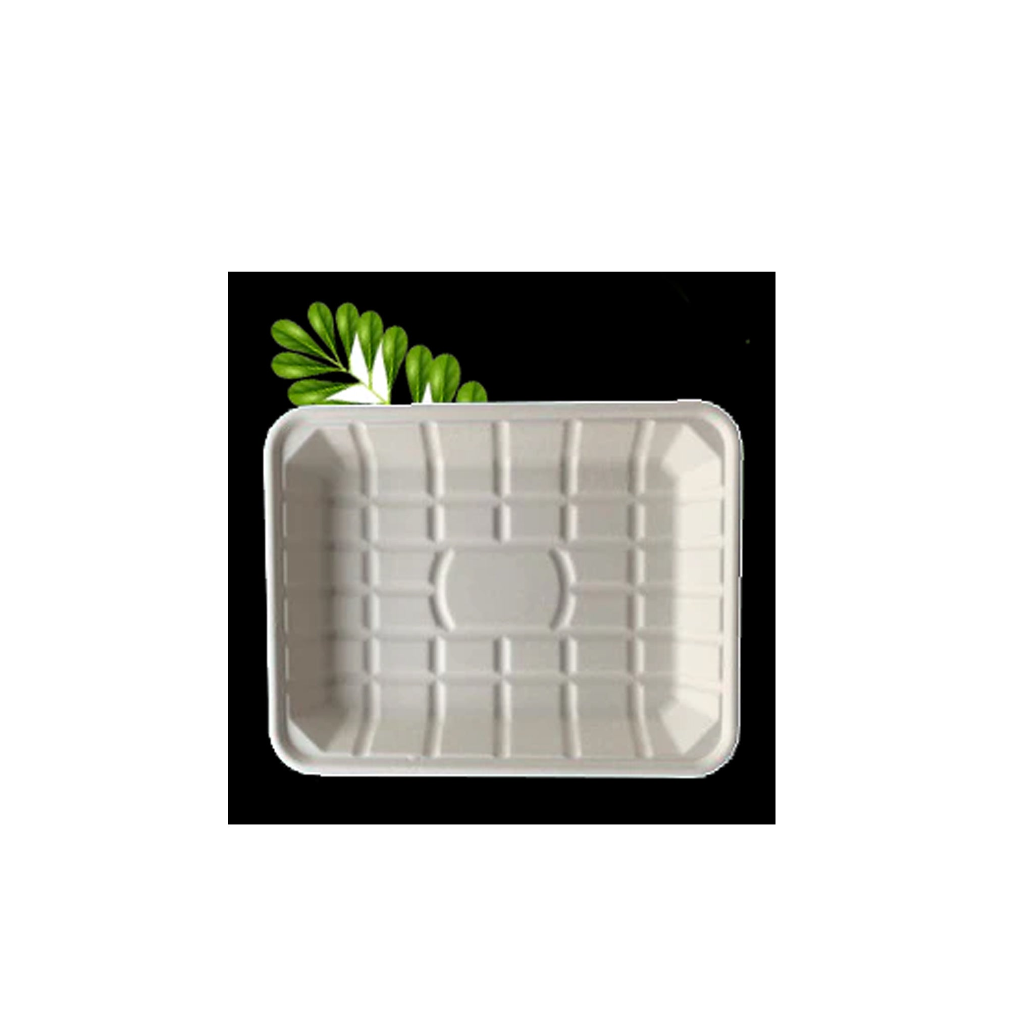 Bagasse Food Tray 4 [297x231] 00301000070