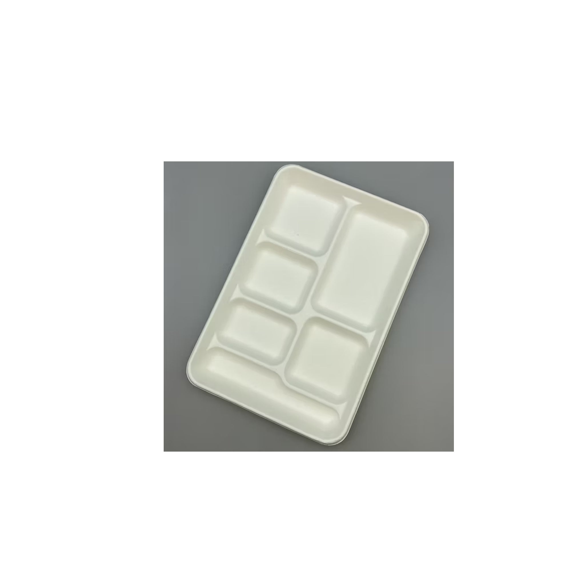 Bagasse Food Tray 6 [155x145mm] 00301000051