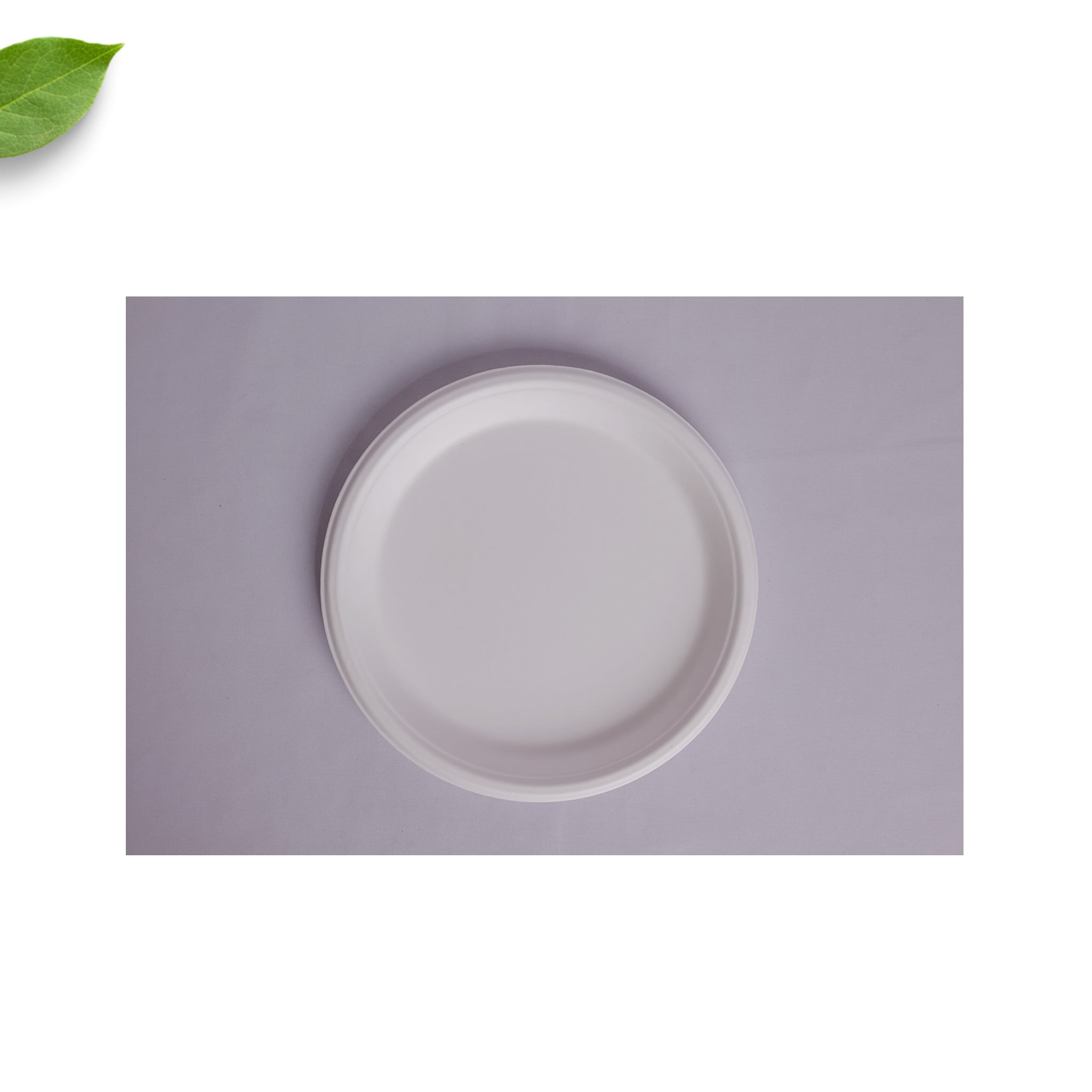 12" (30.5cm) Round Plate BAGASSE [20x25]