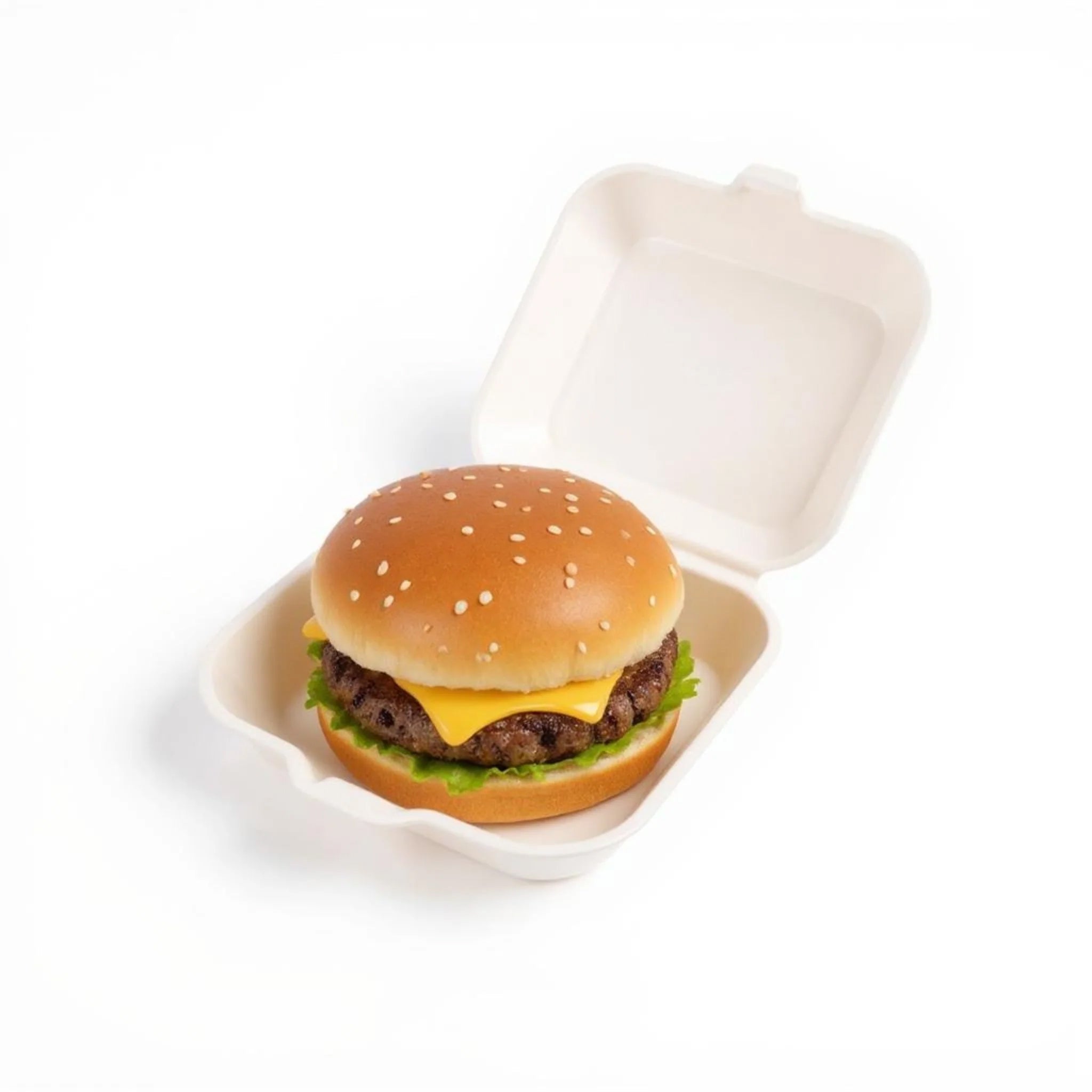 6 BURGER BOX fomopak [BUD6]