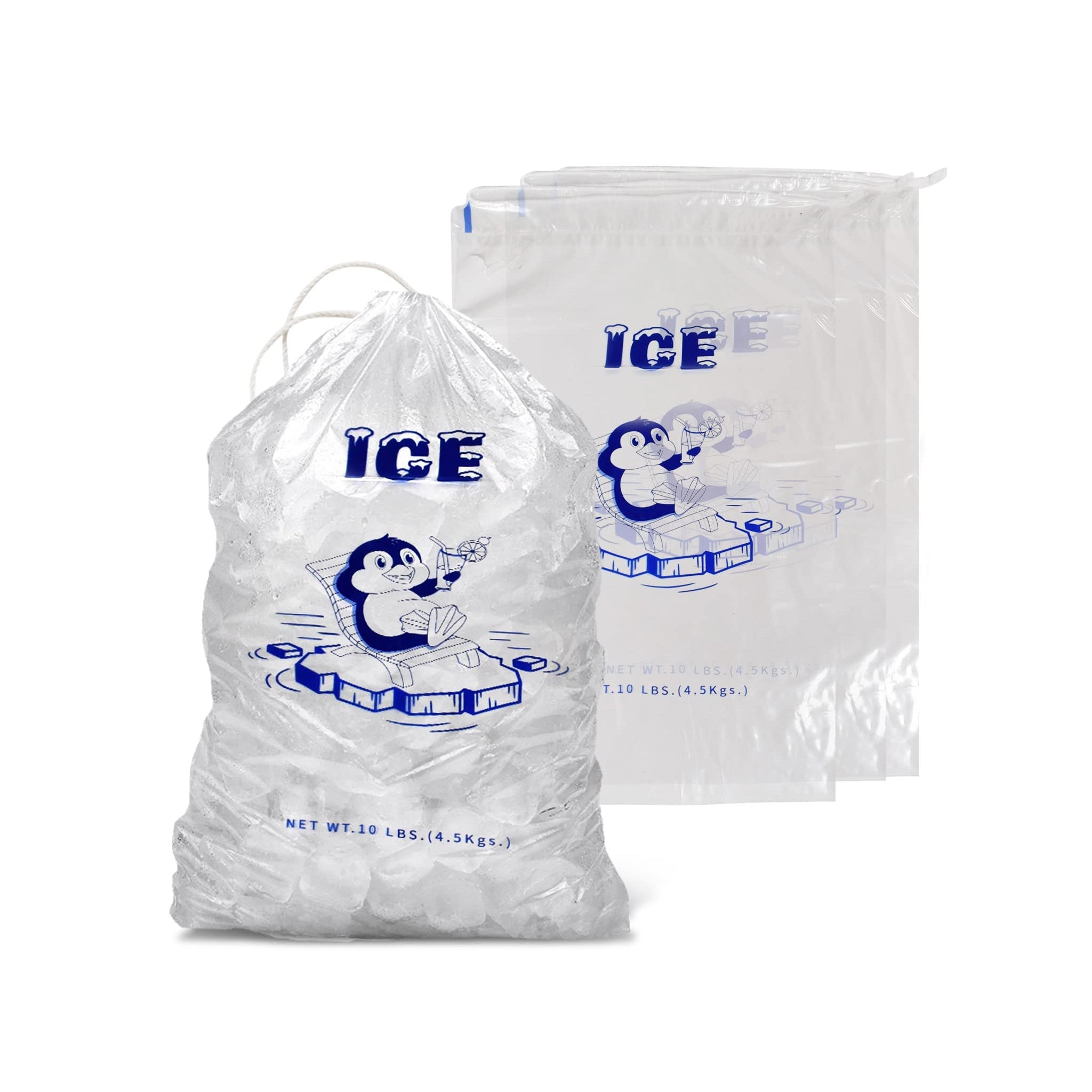 ICED BAG 12x20