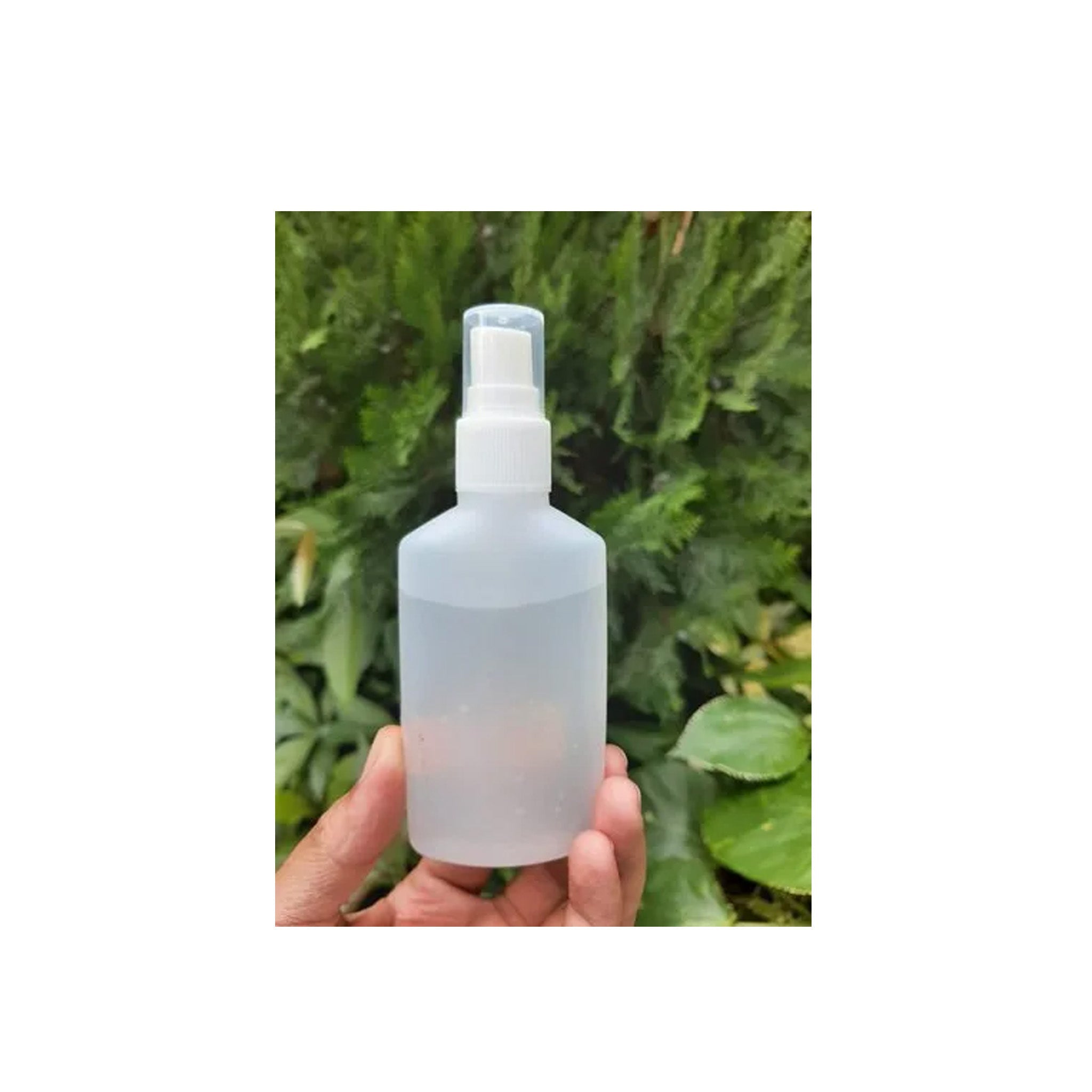 Sanitizer 100 ml [spray top lid]